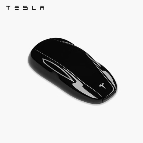 特斯拉（Tesla）官方model3/y遥控钥匙智能远程遥控汽车特斯拉钥匙