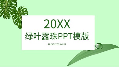 绿叶露珠演示文档ppt底图