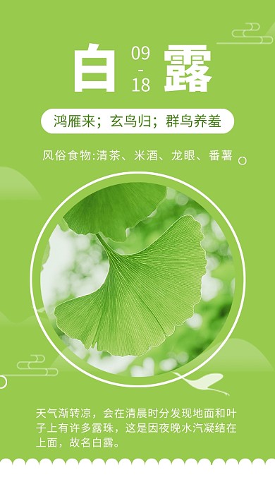 白露节气绿色清新创意手机海报