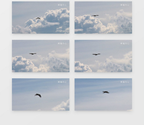 天空中自由翱翔的老鹰背景视频素材no.2
