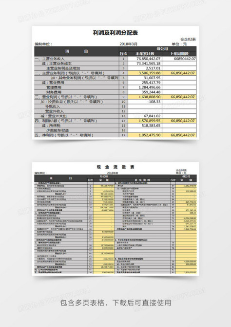 财务报表分析系统no.2