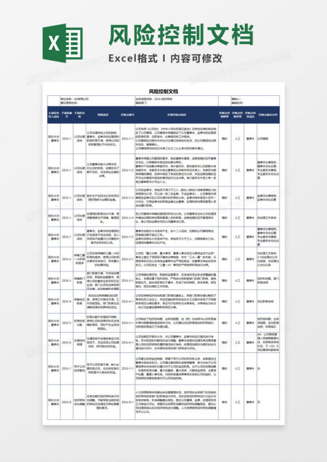 企业风险控制文档Execl素材