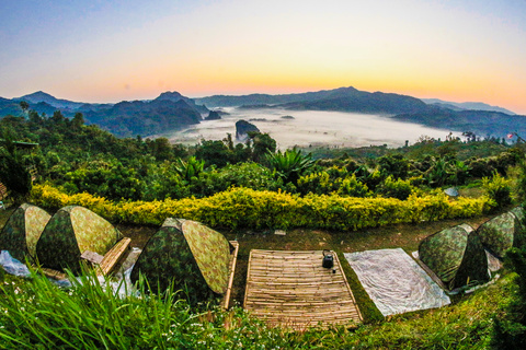 背景 美丽的 营地