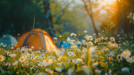 夏天户外山间露营游玩营地高清图片