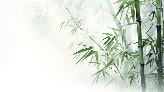 绿色中国风竹子插画