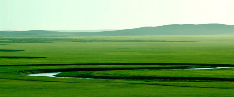 绿色草原河流背景