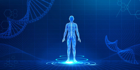蓝色医疗人体医疗科技基因背景