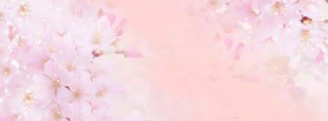 淘宝唯美女装桃花背景banner