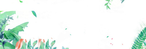 热带植物banner