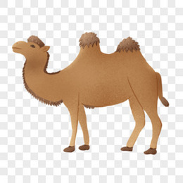 手绘沙漠动物骆驼素材