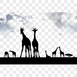 美丽的非洲草原动物剪影