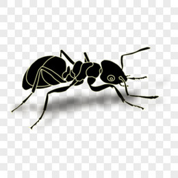 动物蚂蚁open-icon-library-others-icons