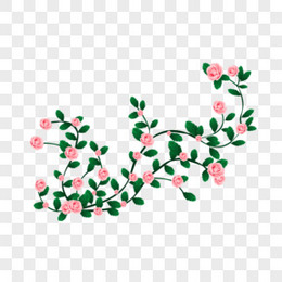 精美绿色植物玫瑰花插画素材