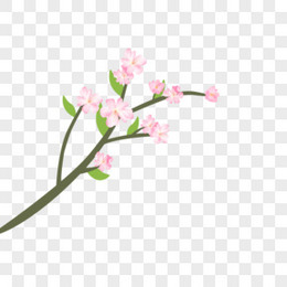 春天小清新桃花春来了一枝桃花树枝发芽粉色桃花装饰元素