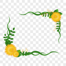 手绘卡通精美的植物向日葵边框