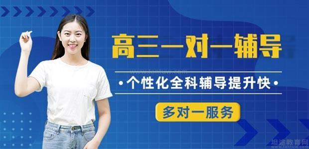 学大教育艺考文化课