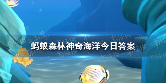 海洋中的清洁工是什么动物  神奇海洋8月12日答案最新