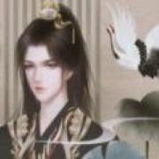 不慕山河 无限鲜花版