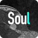 SOUL V1.0 苹果版