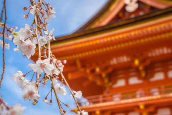 日本京都必去十大景点排名