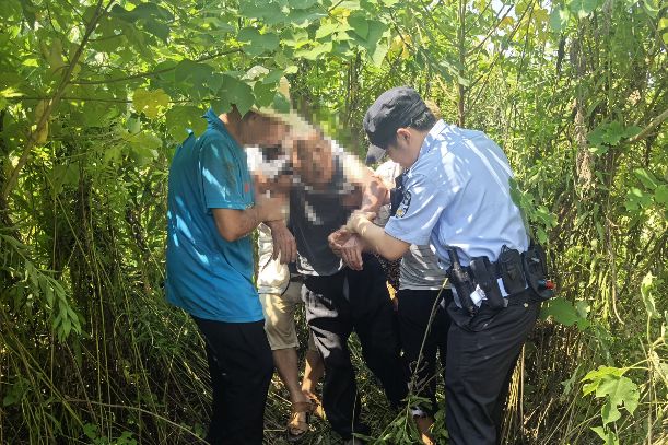 老人玉米地里中暑晕倒 民警用无人机搜救