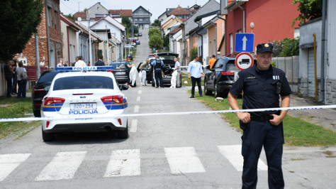 克罗地亚东部枪击事件致6死6伤