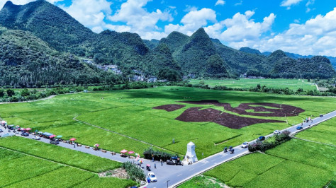 贵州兴义万峰林青山苍翠 稻田“纳福”引游人