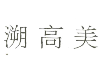 公司logo