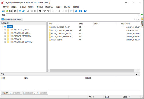 registry workshop官方版