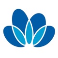 中化国际LOGO