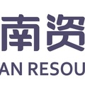 广东飞南LOGO