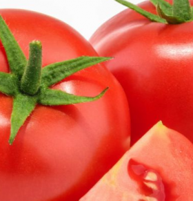 西红柿减肥吗 西红柿热量多少