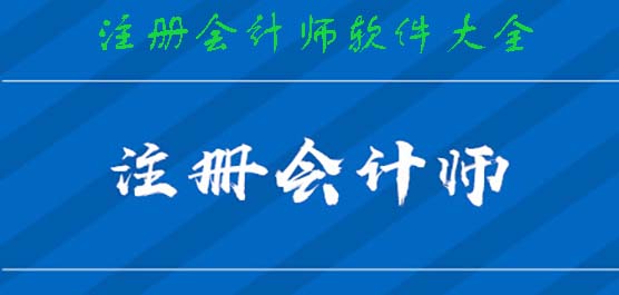 注册会计师必备软件排行榜