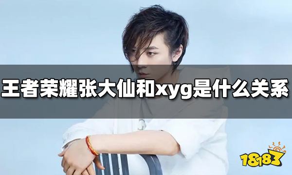 王者荣耀张大仙和xyg战队是什么关系 xyg战队史介绍