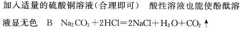 人教版九年级下册化学第十单元课题2酸和碱的中和反应第1课时长江作业本答案4