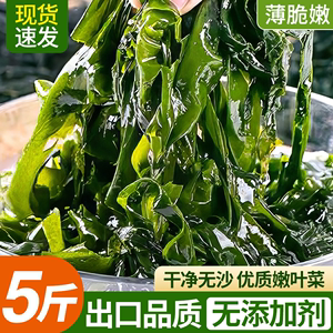 新鲜盐渍裙带菜半干货5斤海带嫩苗丝儿童海菜海白菜非特级低0脂肪