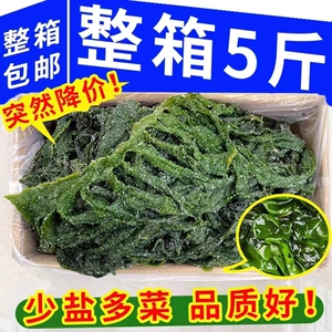 新鲜裙带菜嫩叶带盐半干货盐渍裙带叶5斤整箱海带苗非海白菜