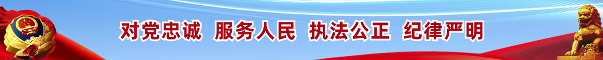 对党忠诚服务人民执法公正纪律严明