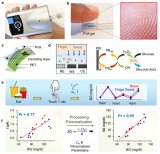 加州大学研发可监测血糖的指尖汗液电化学传感器