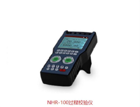 过程校验仪 型号:NHR-100库号：D338041