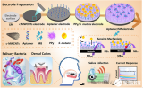 中国科学院长春应用化学研究所：基于双识别元件的便携式唾液传感器，用于龋齿病原菌的即时检测
