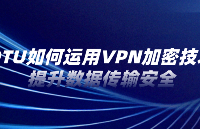 DTU如何运用VPN加密技术提升数据传输安全？