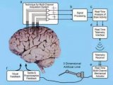 什么是脑机接口技术？脑机接口的原理和分类
