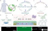 中国科学院大学:实现可再生高灵敏度生物传感器新进展