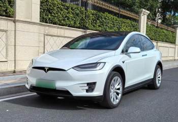 特斯拉 Model X 2019款 长续航版