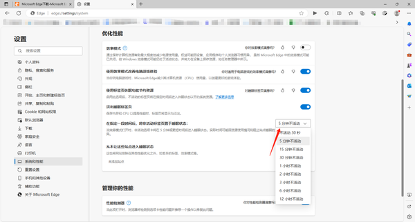 Edge浏览器标签页休眠功能在哪开启_Edge浏览器标签页休眠功能有什么用
