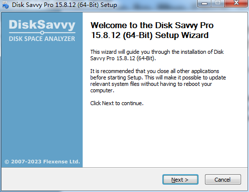 Disk Savvy Pro x64