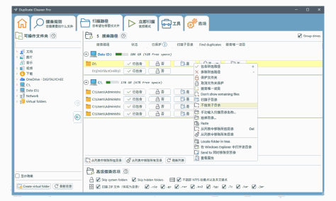 Duplicate Cleaner Pro