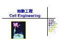 细胞工程课件