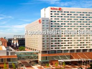 希尔顿巴尔的摩内港酒店(Hilton Baltimore Inner Harbor)图片